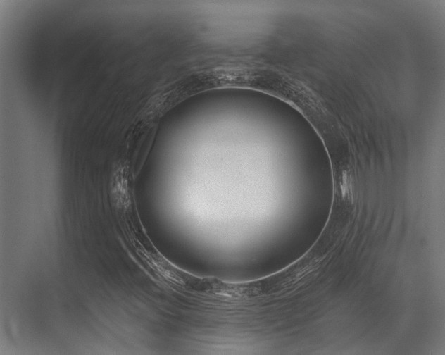 X0000071391396200606231259