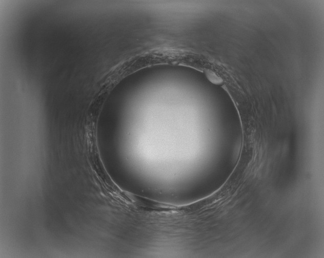X0000071391397200606231259