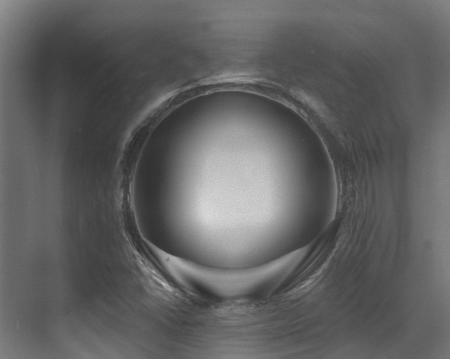 X0000071391406200606231300