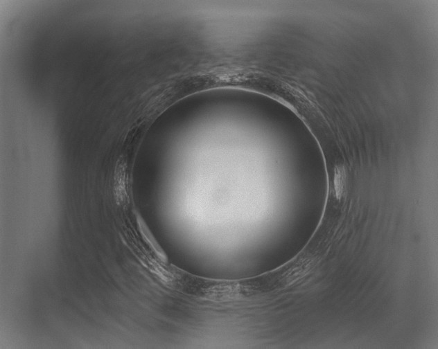 X0000071391444200606231259