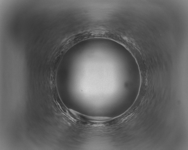 X0000071391445200606231259