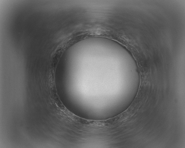 X0000071391446200606231259