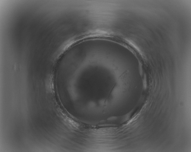 X0000071391455200606231259
