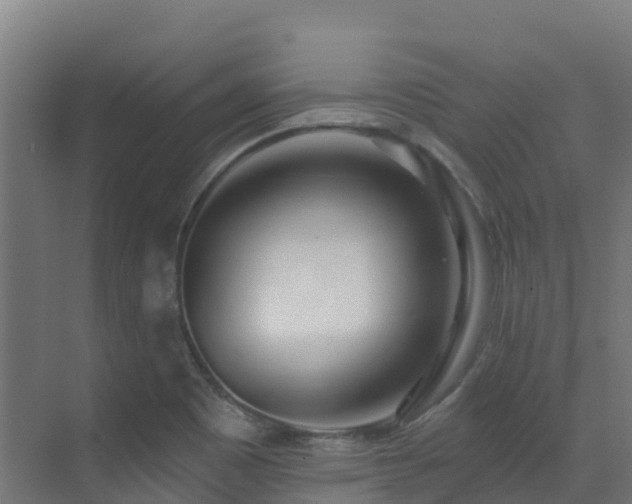 X0000071391465200606231259