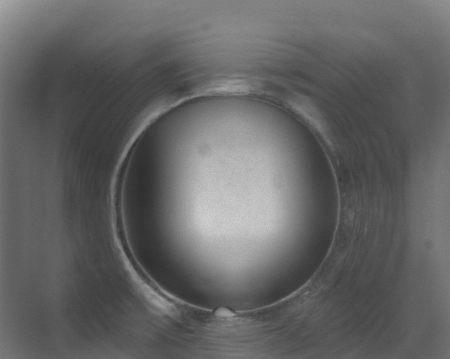 X0000071391475200606231259