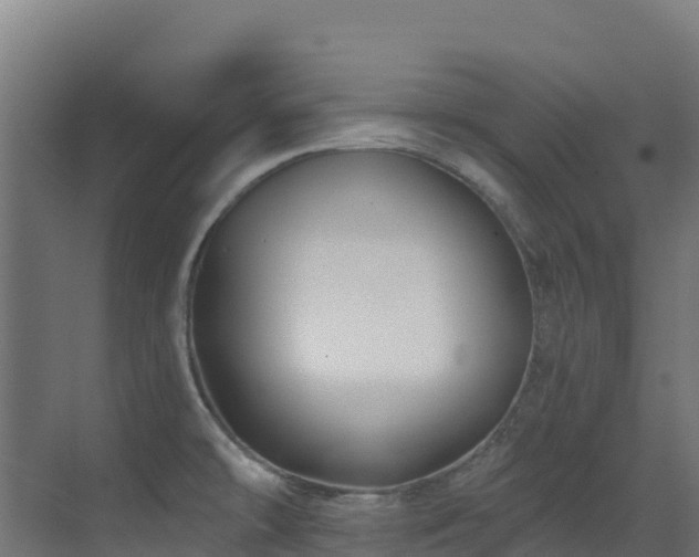 X0000071391478200606231259