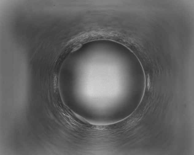 X0000071391492200606231258
