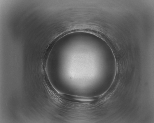 X0000071391497200606231258