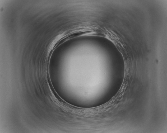 X0000071390003200606261450