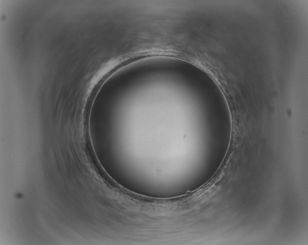 X0000071390008200606261450