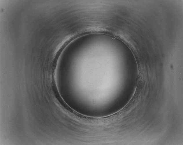 X0000071390015200606261449