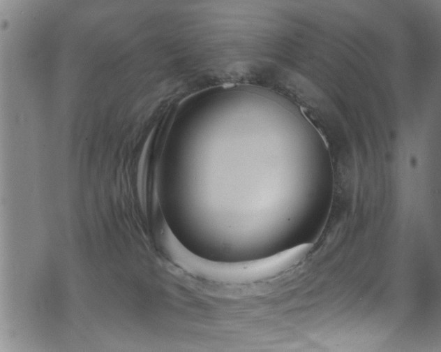 X0000071390037200606261449