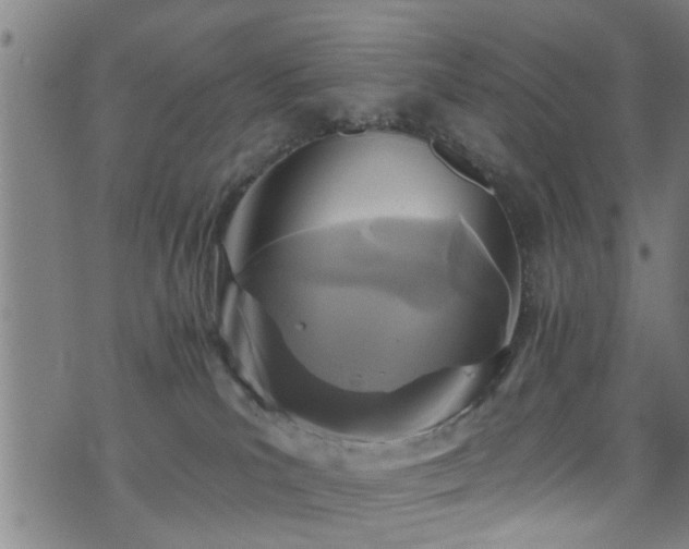 X0000071390039200606261449