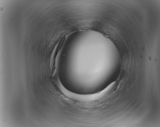 X0000071390041200606261449