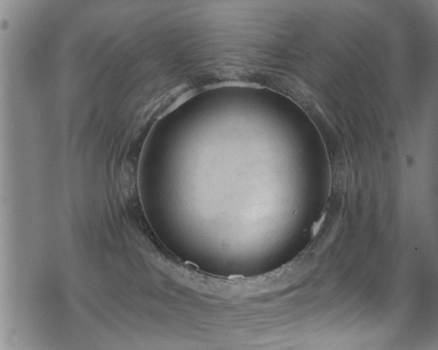 X0000071390043200606261449