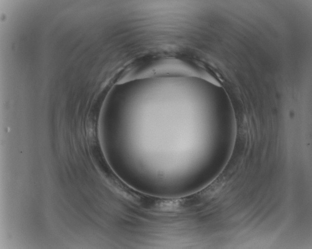 X0000071390084200606261449