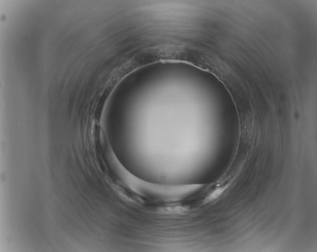 X0000071390137200606261448
