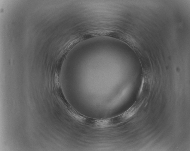 X0000071390143200606261447