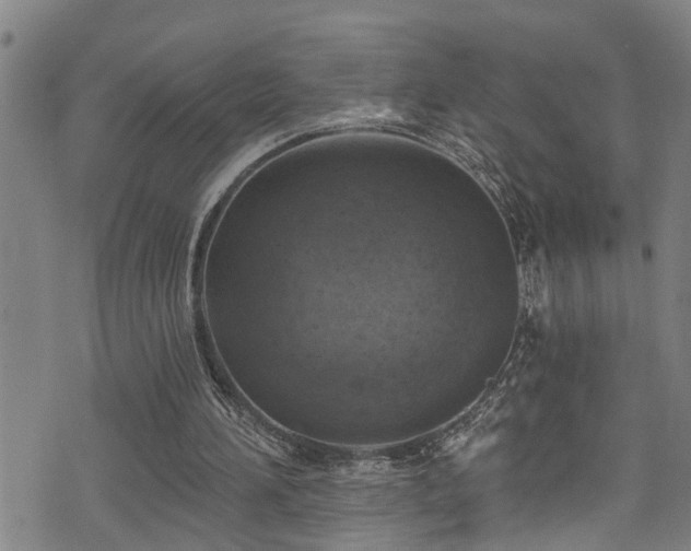 X0000071390196200606261447