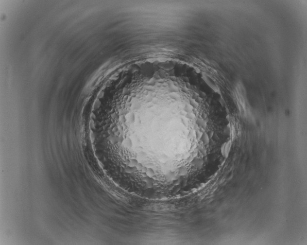 X0000071390339200606261444