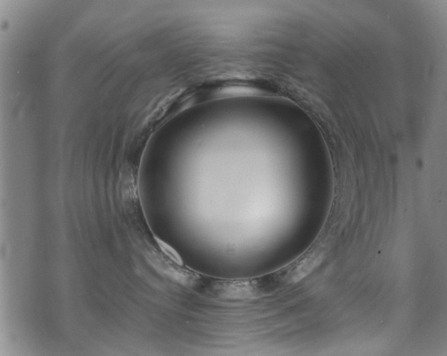 X0000071390384200606261444