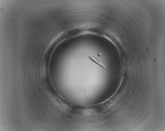 X0000071390400200606261443