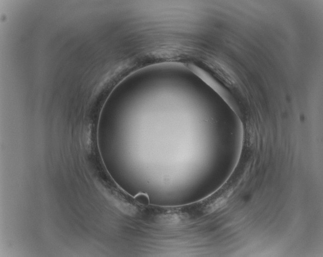 X0000071390404200606261443