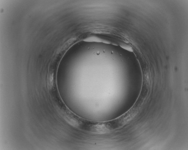 X0000071390406200606261443