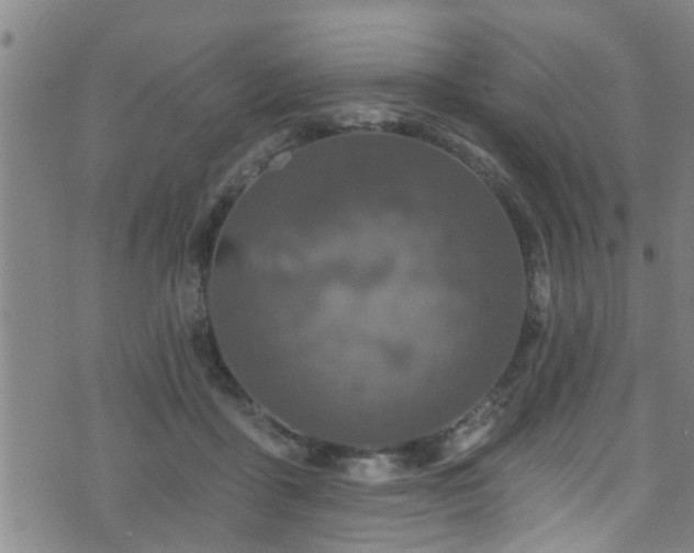 X0000071390411200606261443