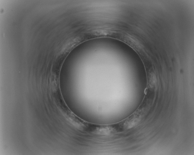 X0000071390414200606261443