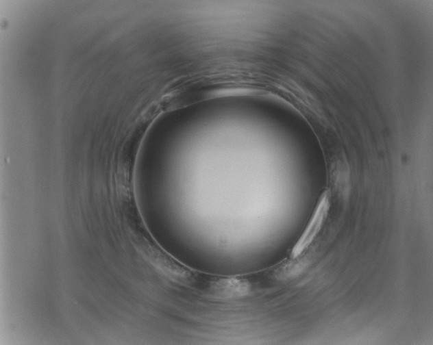 X0000071390421200606261443