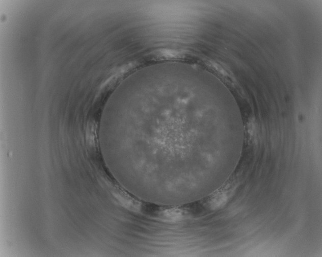 X0000071390423200606261443