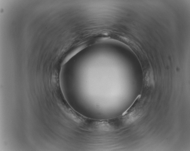 X0000071390424200606261443