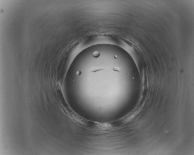 X0000071390429200606261443