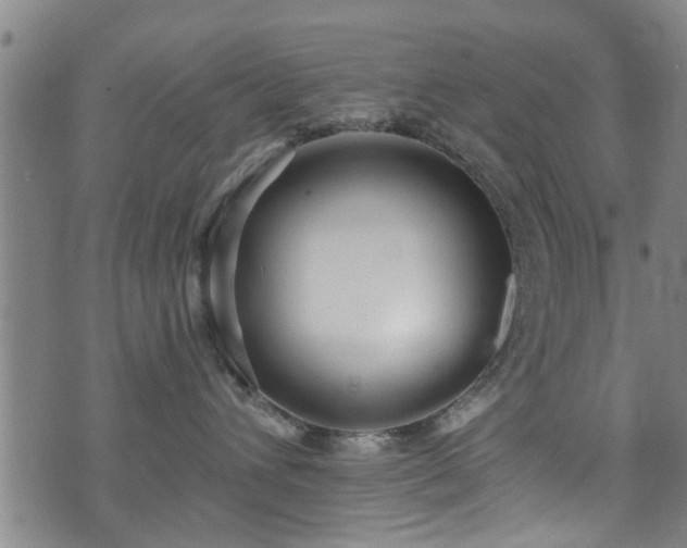 X0000071390432200606261443