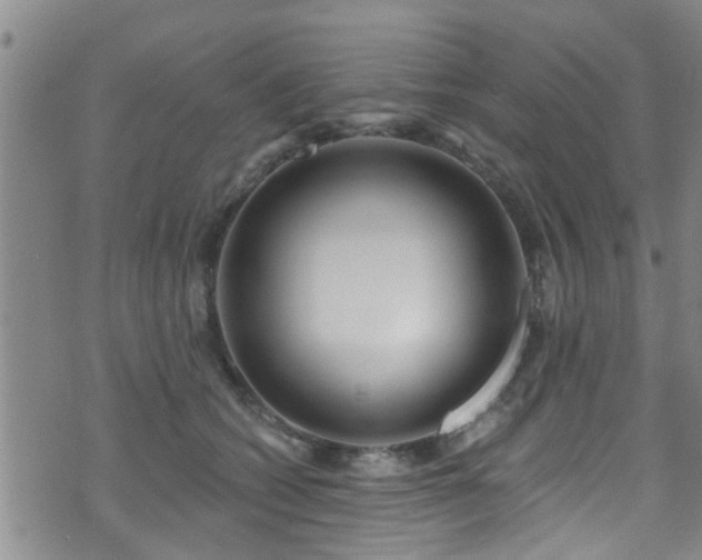 X0000071390562200606261441