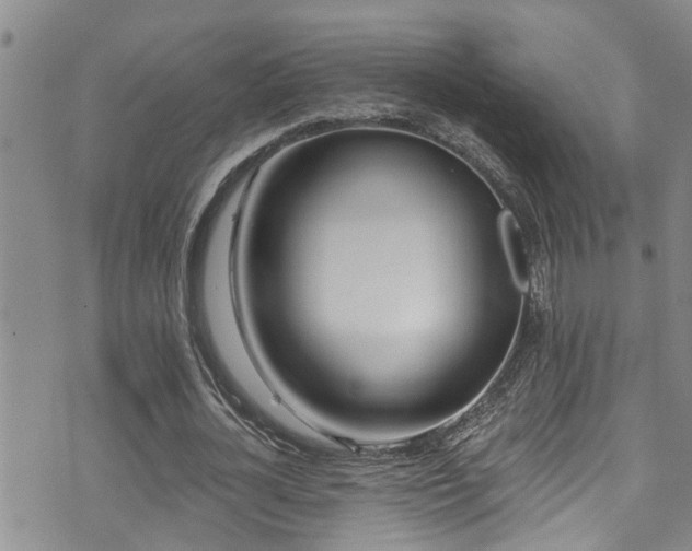 X0000071390724200606261437