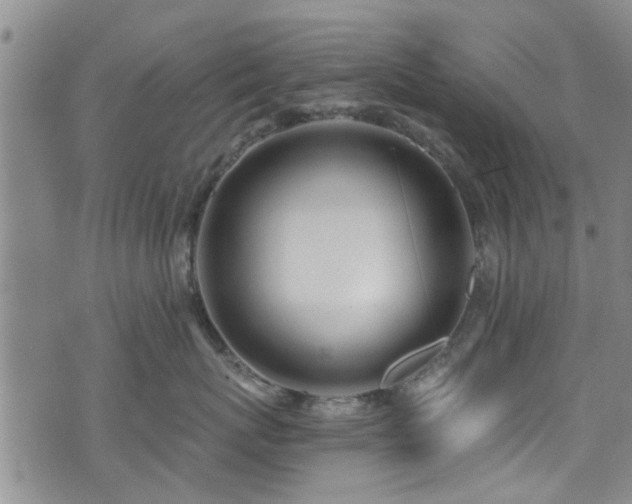 X0000071390767200606261438