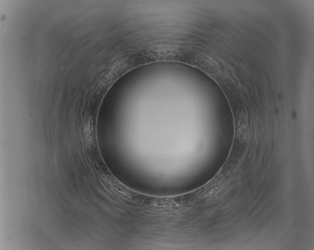 X0000071390866200606261436