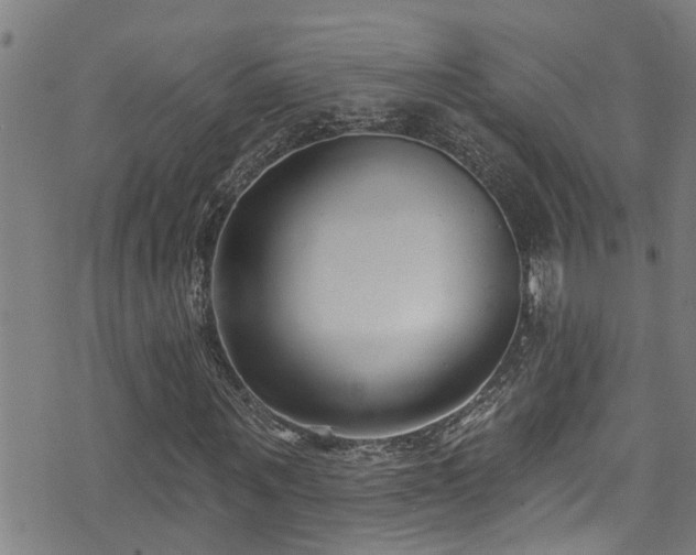 X0000071390867200606261436