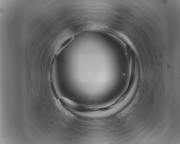 X0000071390946200606261435