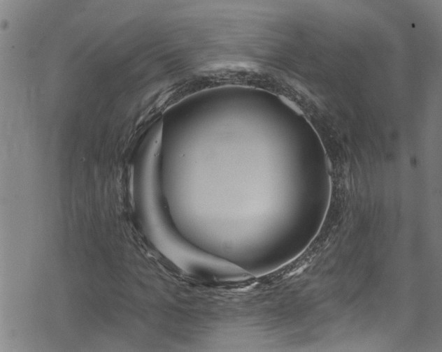 X0000071390965200606261434