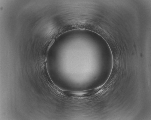 X0000071391012200606261433