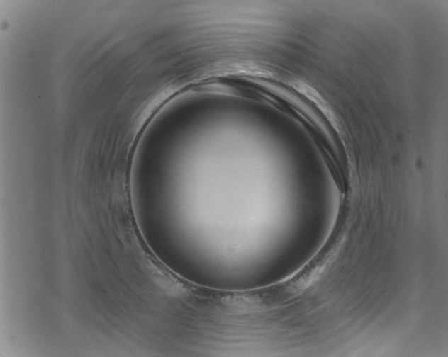 X0000071391089200606261432