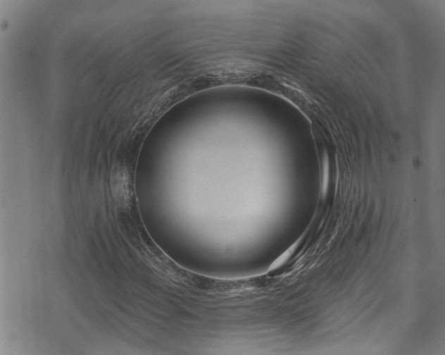 X0000071391108200606261431