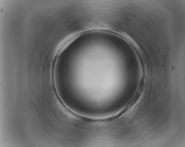 X0000071391246200606261430