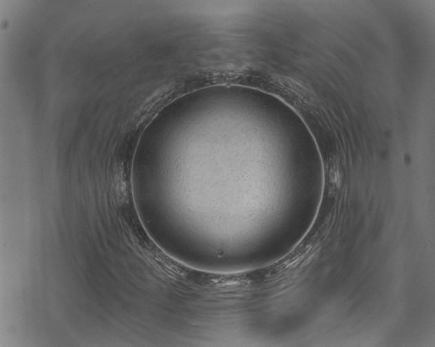 X0000071391252200606261430