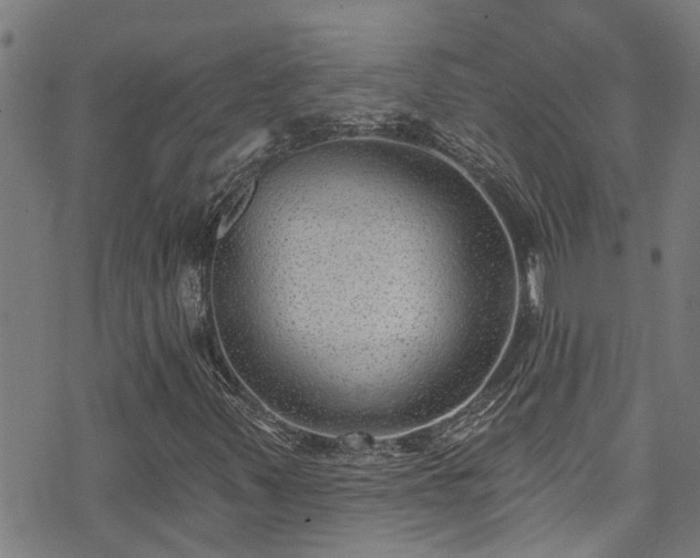 X0000071391347200606261428