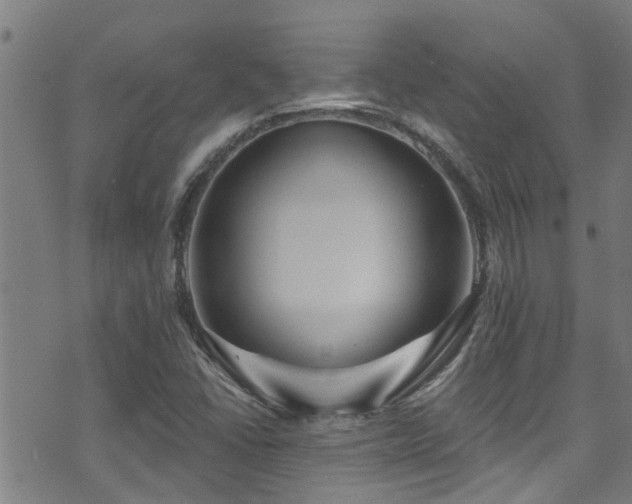 X0000071391406200606261427