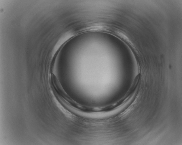 X0000071391426200606261427